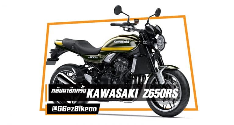 Kawasaki Z650RS covers